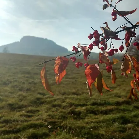 Naturflairhaus Prázdninový dům