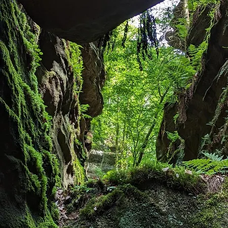 Naturflairhaus Prázdninový dům