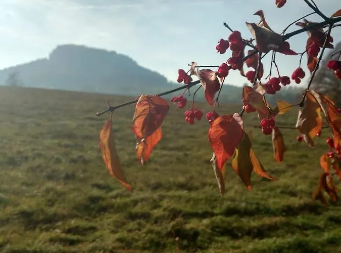 Naturflairhaus Prázdninový dům
