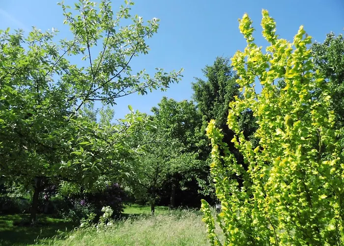 Naturflairhaus بيت للعطل *